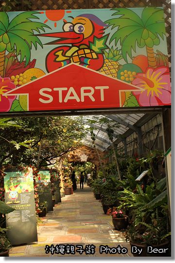 【遊記】「不管有多苦都要醬玩之沖繩親子遊~DAY2 水果+蝴蝶+飛鳥All In One的OKINAWA水果樂園」