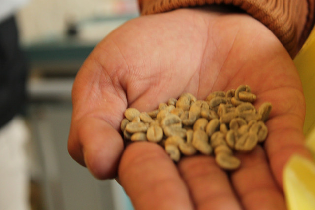 【遊】「古坑咖啡原鄉一日遊IV．咖啡拉花之極緻．紅果精品咖啡」
