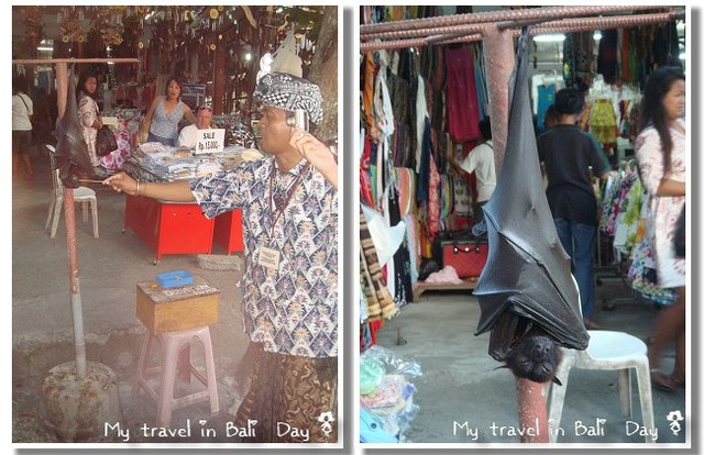 【遊記】「My travel in Bali ~ Day 1-海神廟篇」