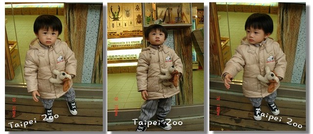 【遊記】「Go to the Taipei Zoo」