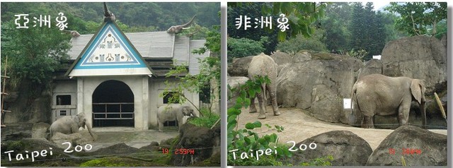 【遊記】「Go to the Taipei Zoo」