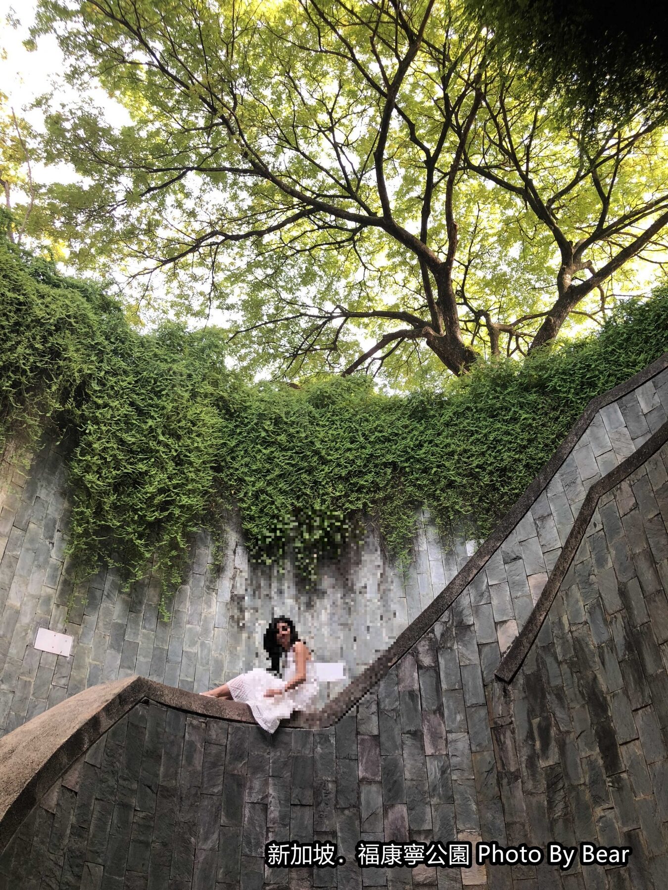 【2019新加坡自由行】「怎麼拍都美，福康寧公園裡的隱藏版打卡景點，神秘且別有洞天的旋轉石梯．Fort Canning Park Tree Tunnel」