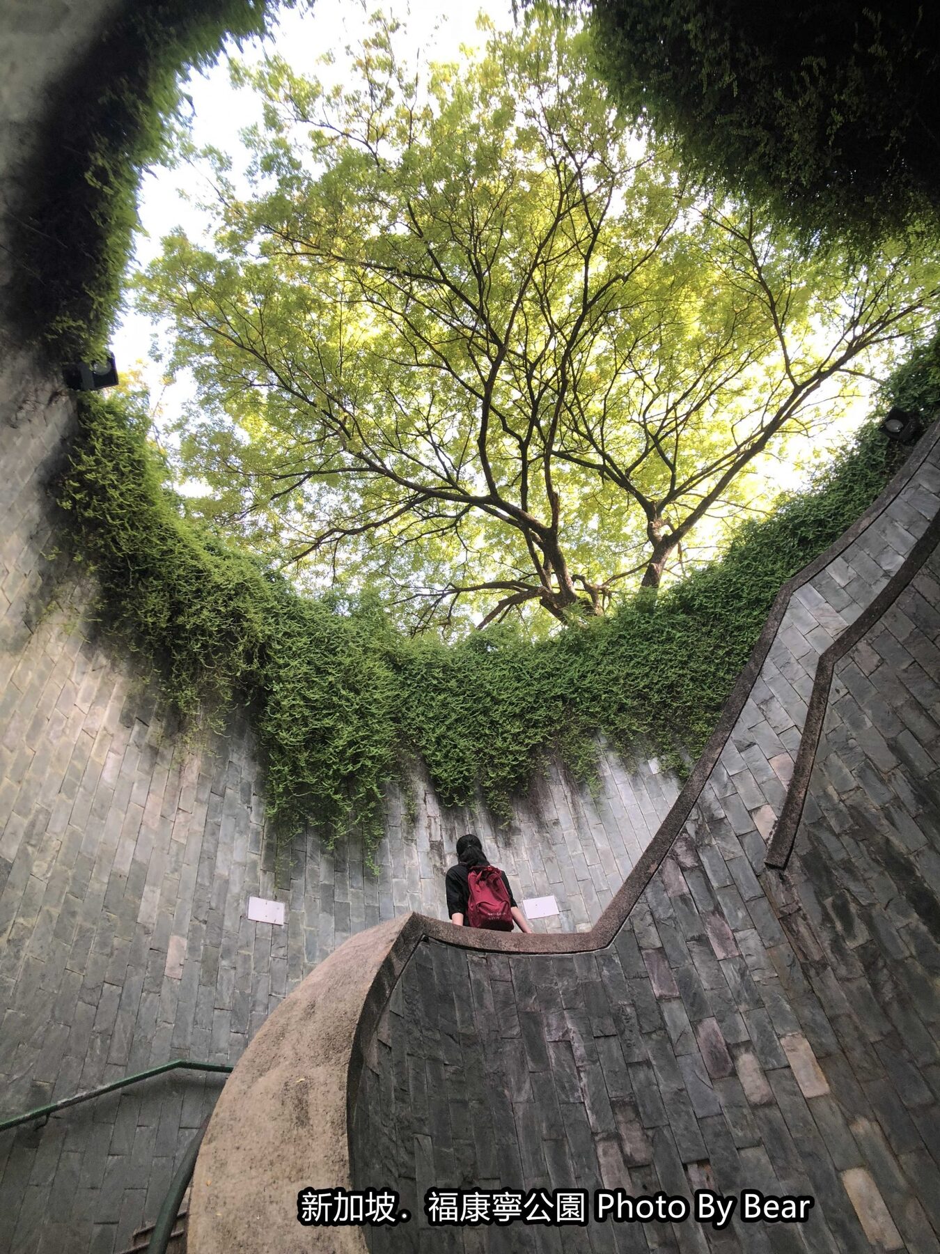 【2019新加坡自由行】「怎麼拍都美，福康寧公園裡的隱藏版打卡景點，神秘且別有洞天的旋轉石梯．Fort Canning Park Tree Tunnel」