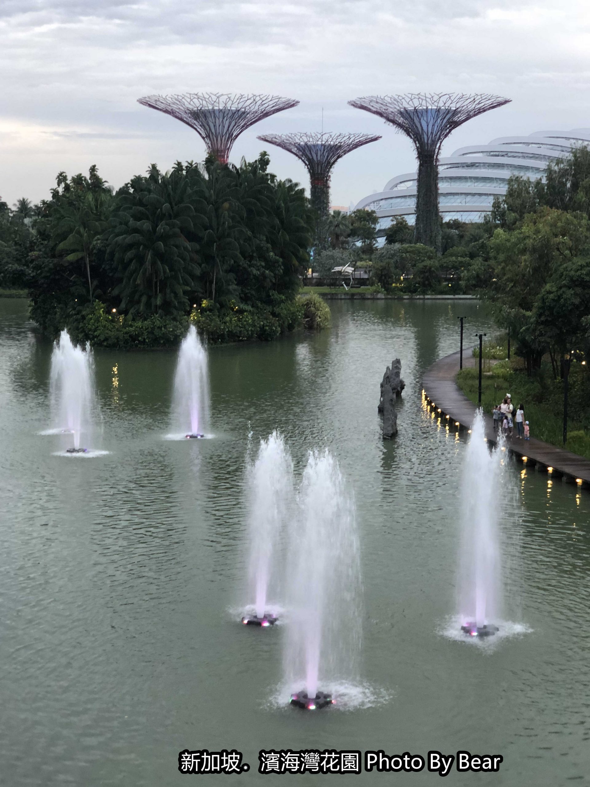 【2019新加坡自由行】「濱海灣花園Gardens by the Bay（擎天樹/花穹冷室/雲霧林冷室/室內瀑布/天空廊道）」