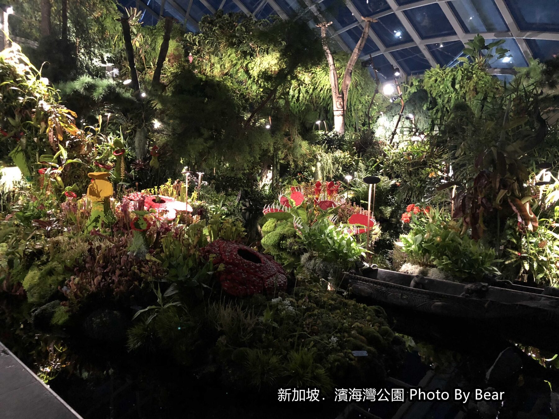 【2019新加坡自由行】「濱海灣花園Gardens by the Bay（擎天樹/花穹冷室/雲霧林冷室/室內瀑布/天空廊道）」