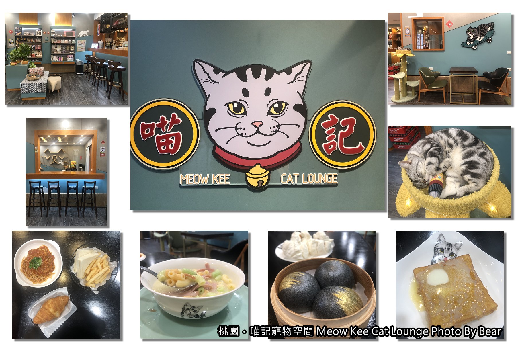 【桃園】「喵記寵物空間Meow Kee Cat Lounge（港式料理/茶樓點心/複合式經營/寵物友善/專業寵物貓美容/國強一街）」 @游游滴