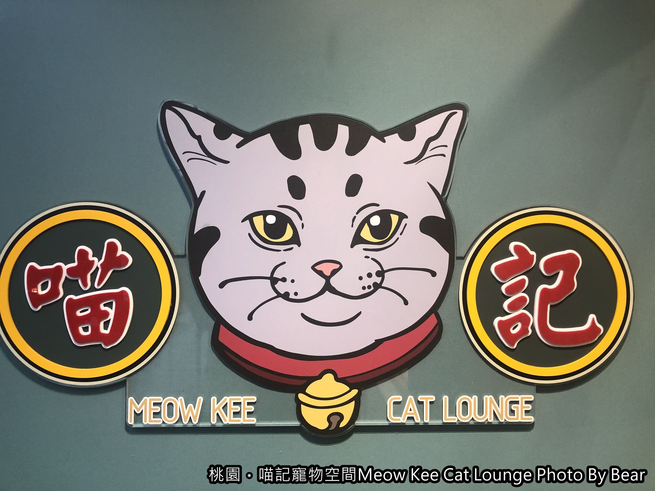 【桃園】「喵記寵物空間Meow Kee Cat Lounge（港式料理/茶樓點心/複合式經營/寵物友善/專業寵物貓美容/國強一街）」