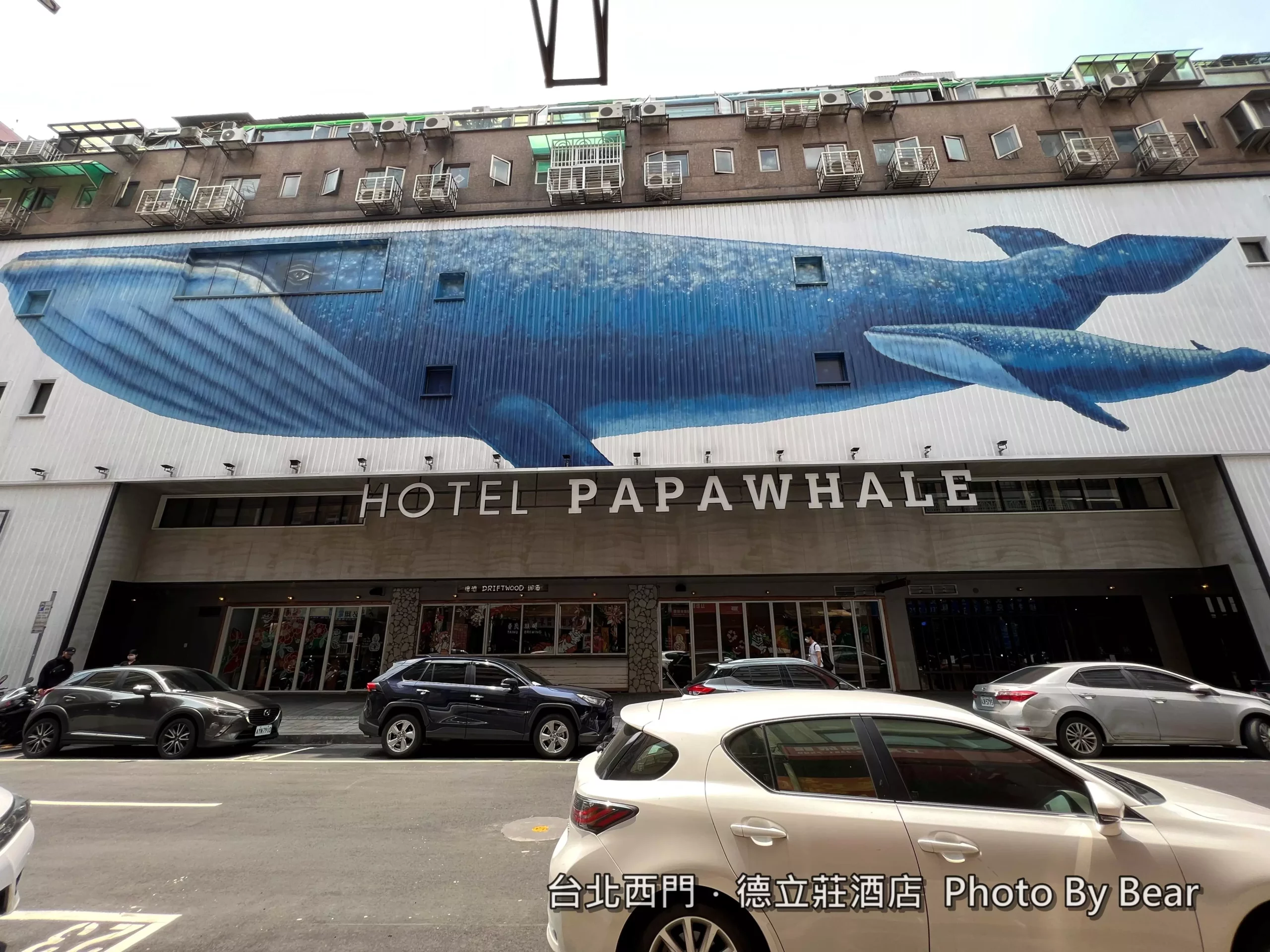 台北】「Hotel PaPa Whale西門町酒店-超吸睛，有大鯨魚的輕工業風設計都會旅店（海霸王旗下飯店/德立莊酒店/近捷運站） @游游滴