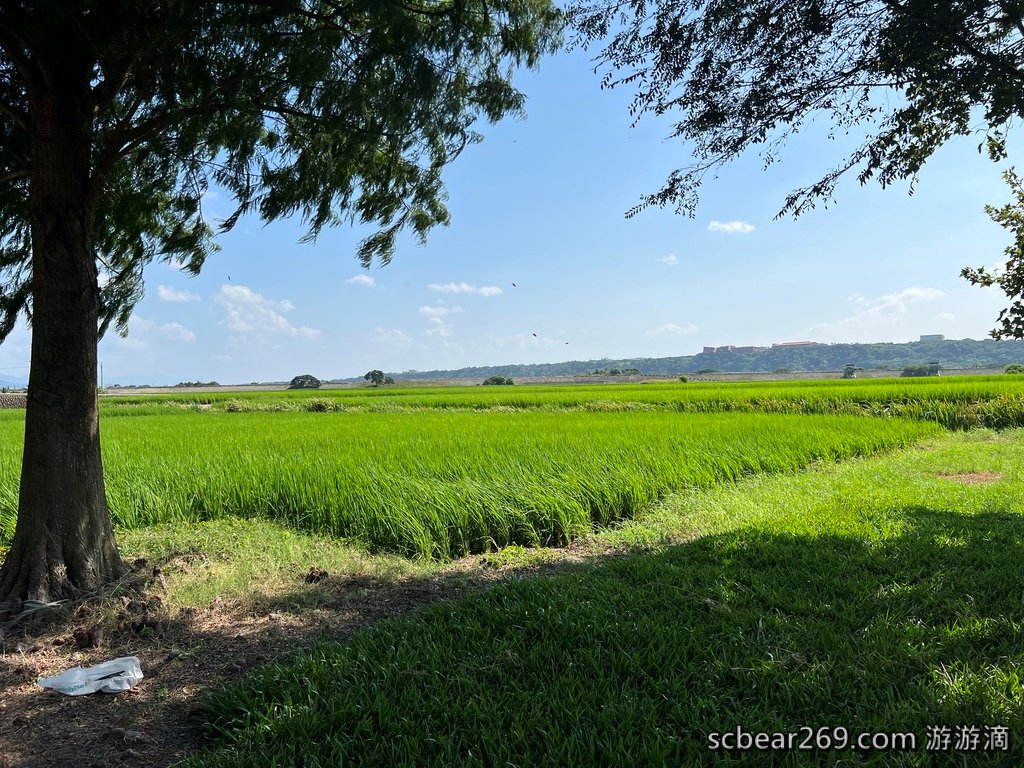 【台中外埔】「蜜境_MiJing．隱身忘憂谷田野間的預約制景觀咖啡，綠油油稻田好療癒，還有手作甜點和披薩」