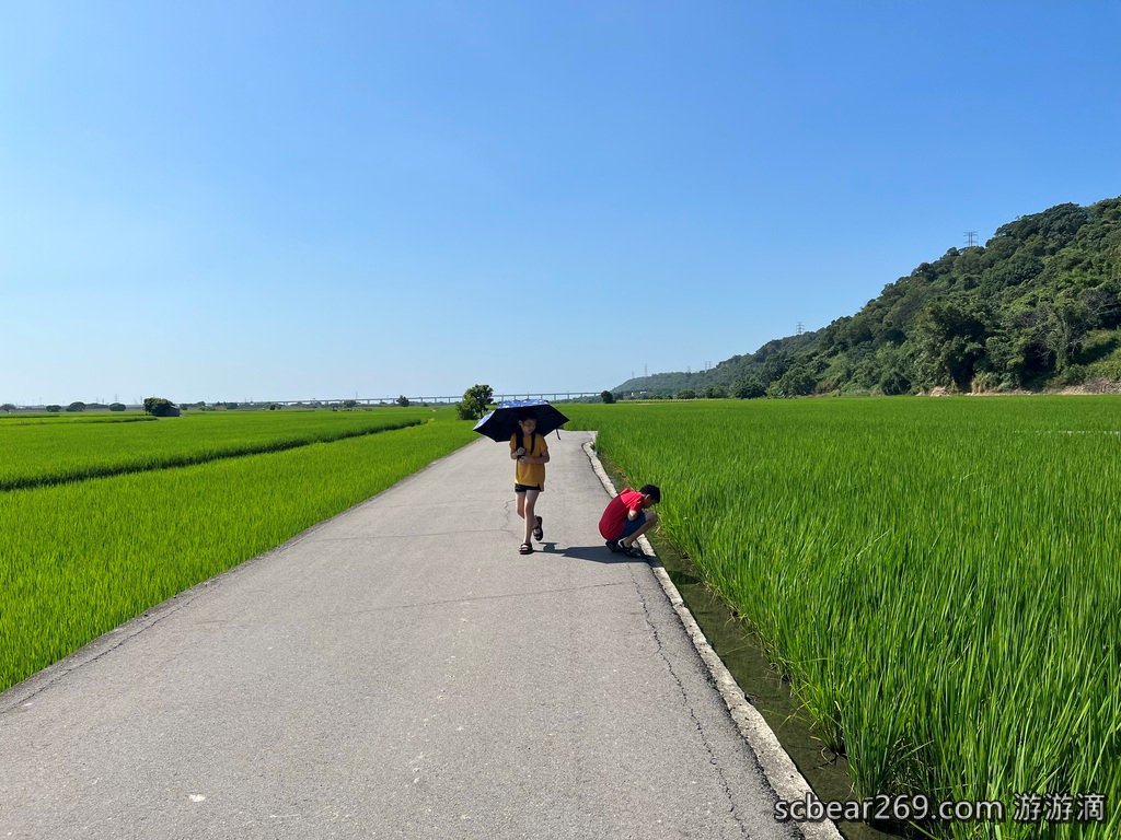 【台中外埔】「蜜境_MiJing．隱身忘憂谷田野間的預約制景觀咖啡，綠油油稻田好療癒，還有手作甜點和披薩」