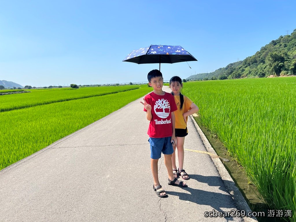 【台中外埔】「蜜境_MiJing．隱身忘憂谷田野間的預約制景觀咖啡，綠油油稻田好療癒，還有手作甜點和披薩」