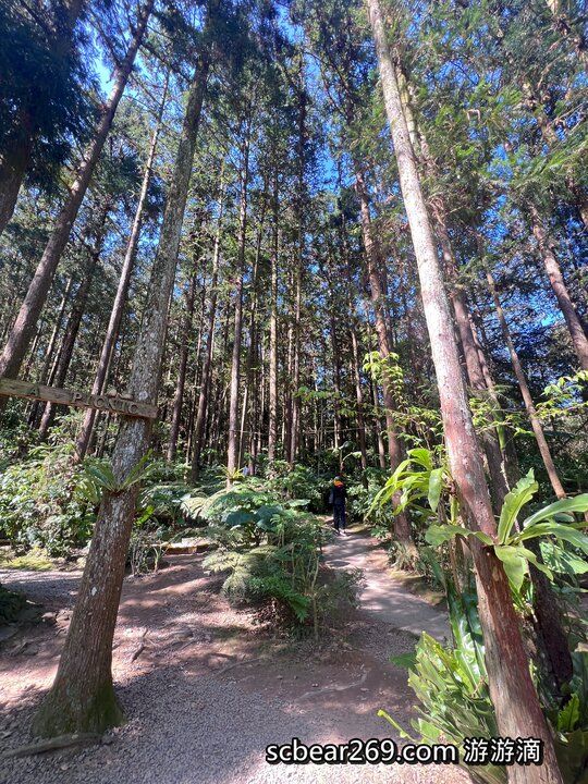 【北埔】「森窯have a Picnic．來森林野餐趣，位在五指山裡的不限時秘境餐廳（窯烤披薩/咖啡/限量甜點/野餐墊免費租借/無低消.服務費/有停車場）」