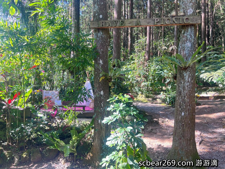 【北埔】「森窯have a Picnic．來森林野餐趣，位在五指山裡的不限時秘境餐廳（窯烤披薩/咖啡/限量甜點/野餐墊免費租借/無低消.服務費/有停車場）」