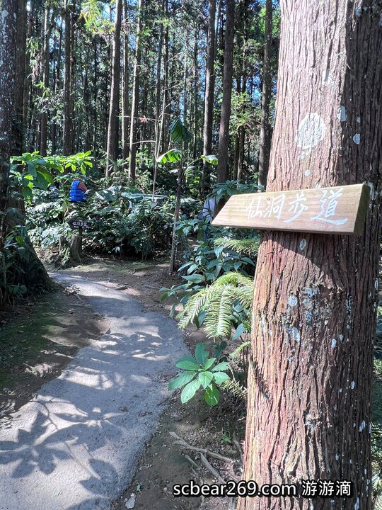 【北埔】「森窯have a Picnic．來森林野餐趣，位在五指山裡的不限時秘境餐廳（窯烤披薩/咖啡/限量甜點/野餐墊免費租借/無低消.服務費/有停車場）」