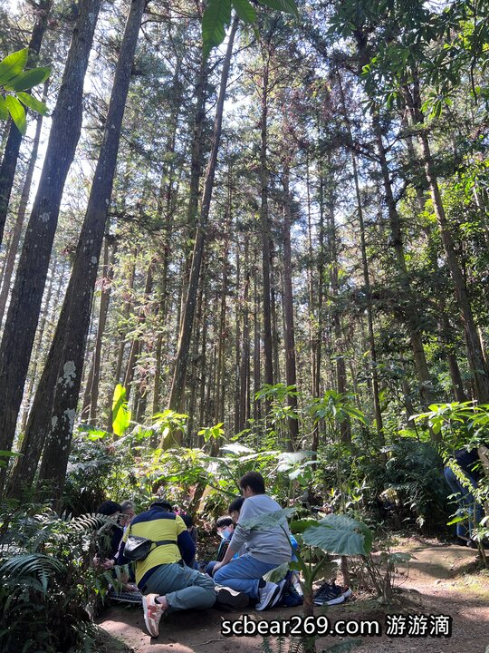 【北埔】「森窯have a Picnic．來森林野餐趣，位在五指山裡的不限時秘境餐廳（窯烤披薩/咖啡/限量甜點/野餐墊免費租借/無低消.服務費/有停車場）」