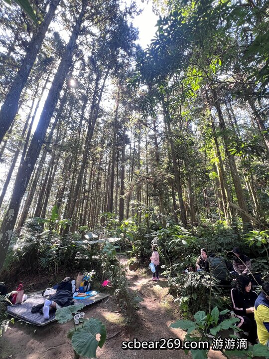 【北埔】「森窯have a Picnic．來森林野餐趣，位在五指山裡的不限時秘境餐廳（窯烤披薩/咖啡/限量甜點/野餐墊免費租借/無低消.服務費/有停車場）」