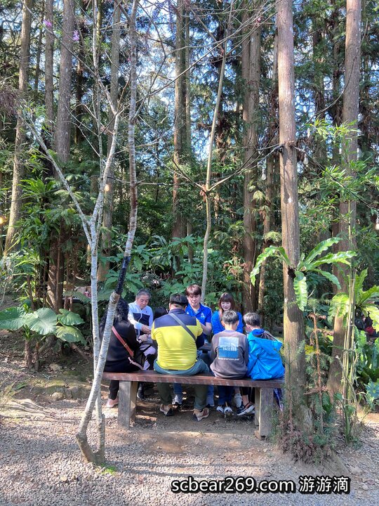 【北埔】「森窯have a Picnic．來森林野餐趣，位在五指山裡的不限時秘境餐廳（窯烤披薩/咖啡/限量甜點/野餐墊免費租借/無低消.服務費/有停車場）」