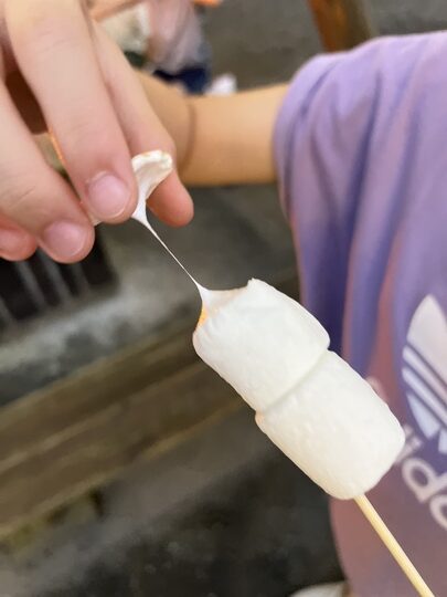 【南投鹿谷】「溪部好呆庄露營車體驗：免裝備懶人露營，入住細節與環境開箱」