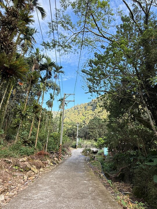 【日月潭住宿】「巴洛爸洛的家BaluoBaluo休閒農場．藏身山林裡的色彩繽紛獨棟小屋，還有熱情小管家和美味手作早餐(雙人房.四人房/代售票券/腳踏車租借/螢火蟲導覽/近伊達邵老街）」