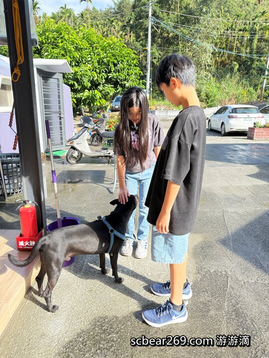 【日月潭住宿】「巴洛爸洛的家BaluoBaluo休閒農場．藏身山林裡的色彩繽紛獨棟小屋，還有熱情小管家和美味手作早餐(雙人房.四人房/代售票券/腳踏車租借/螢火蟲導覽/近伊達邵老街）」