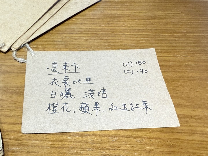 【埔里】「吾庶usu Coffee．昭和風格老宅咖啡館（早午餐/義大利麵/烤飯糰/甜點/手沖咖啡/可預約訂位)」