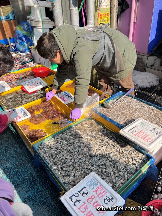 【首爾自由行】「媽媽帶孩子一起辦年貨之旅 Day 2 (上):望遠市場美食散策,QS炸雞、勳勳糖餅 & Paik’s Coffee」」 【首爾自由行】「媽媽帶孩子一起辦年貨之旅 Day 2 (上):望遠市場美食散策,QS炸雞、勳勳糖餅 & Paik’s Coffee」」