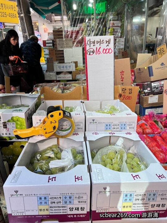 【首爾自由行】「媽媽帶孩子一起辦年貨之旅 Day 2 (上):望遠市場美食散策,QS炸雞、勳勳糖餅 & Paik’s Coffee」」 【首爾自由行】「媽媽帶孩子一起辦年貨之旅 Day 2 (上):望遠市場美食散策,QS炸雞、勳勳糖餅 & Paik’s Coffee」」