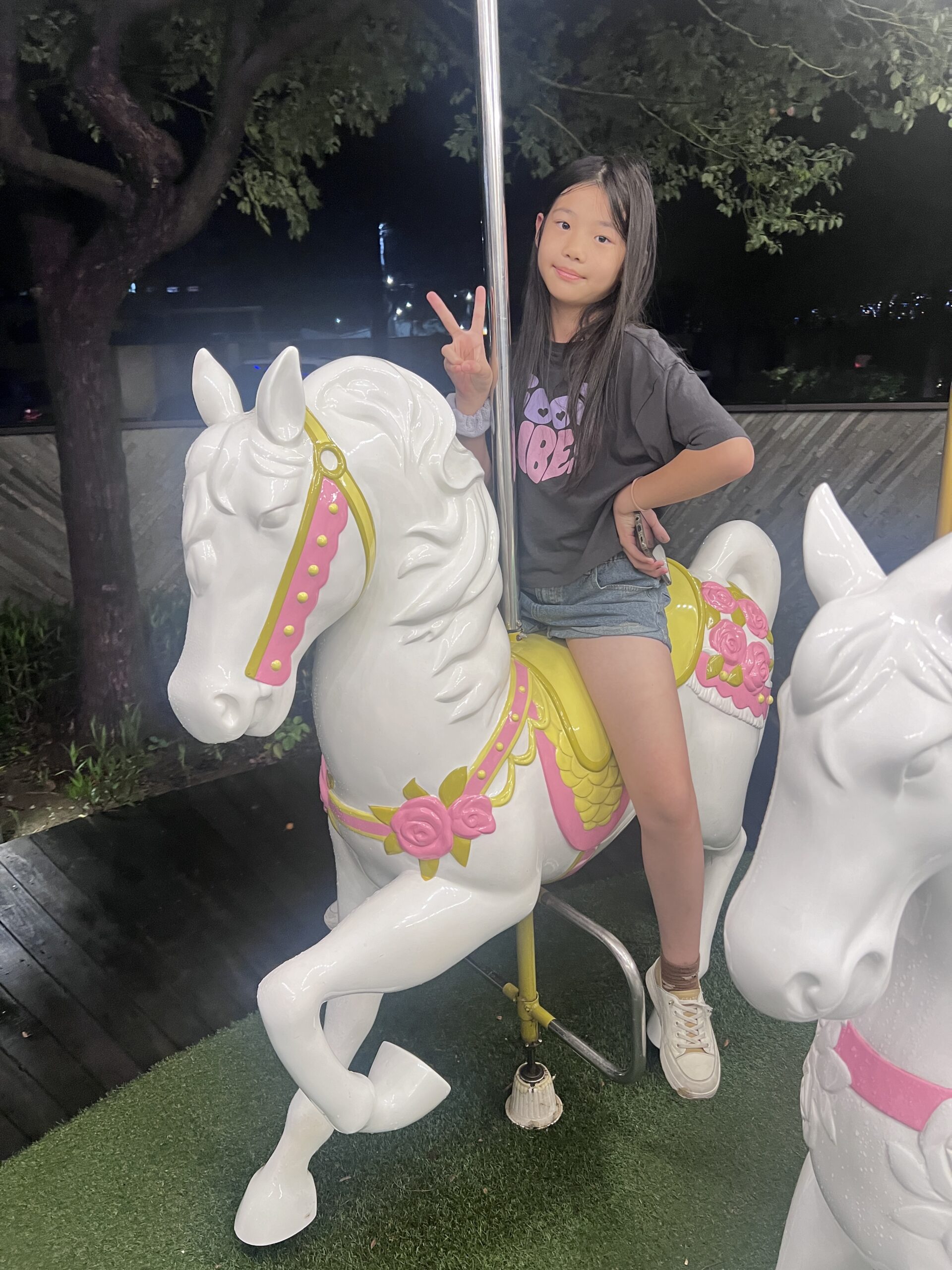 Chiayi Hsinhotel_ Outside-002 Chiayi Hsinhotel_ Outside-002