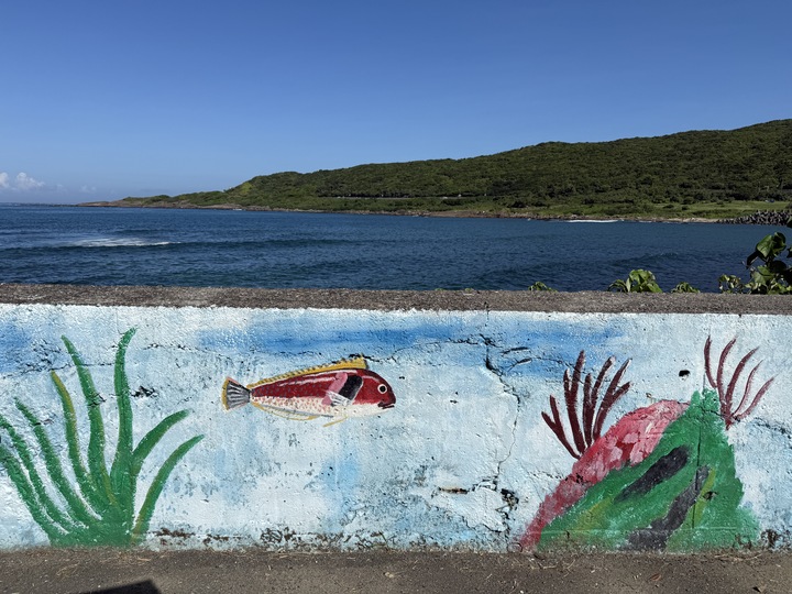 【貢竂】「澳礁咖啡OurJoy Cofee．卯澳漁村裡的海景第一排咖啡館（甜點/雪花冰/露天觀景座位/好停車/戶外區不限時）」