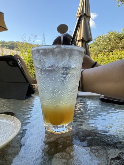 【新北坪林】「心茶合一TeaFlow．茶園步道旁的秘境咖啡館（早午餐/茶點/甜點/可芙/近茶葉博物館）」