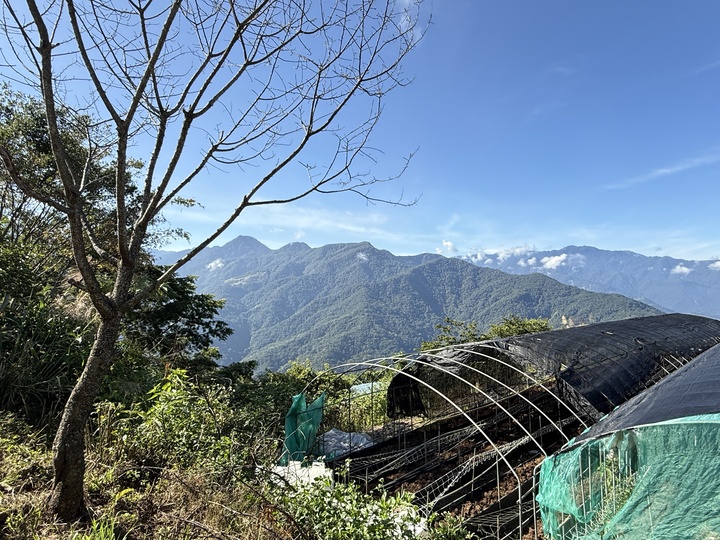 【南投】「依默騎馬度假莊園.來清境住一晚!騎馬體驗超吸睛,還有2-6 人彈性房型與豐盛中西式早餐」 【南投】「依默騎馬度假莊園.來清境住一晚!騎馬體驗超吸睛,還有2-6 人彈性房型與豐盛中西式早餐」